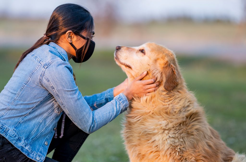 woman-with-face-mask-staring-at-dog